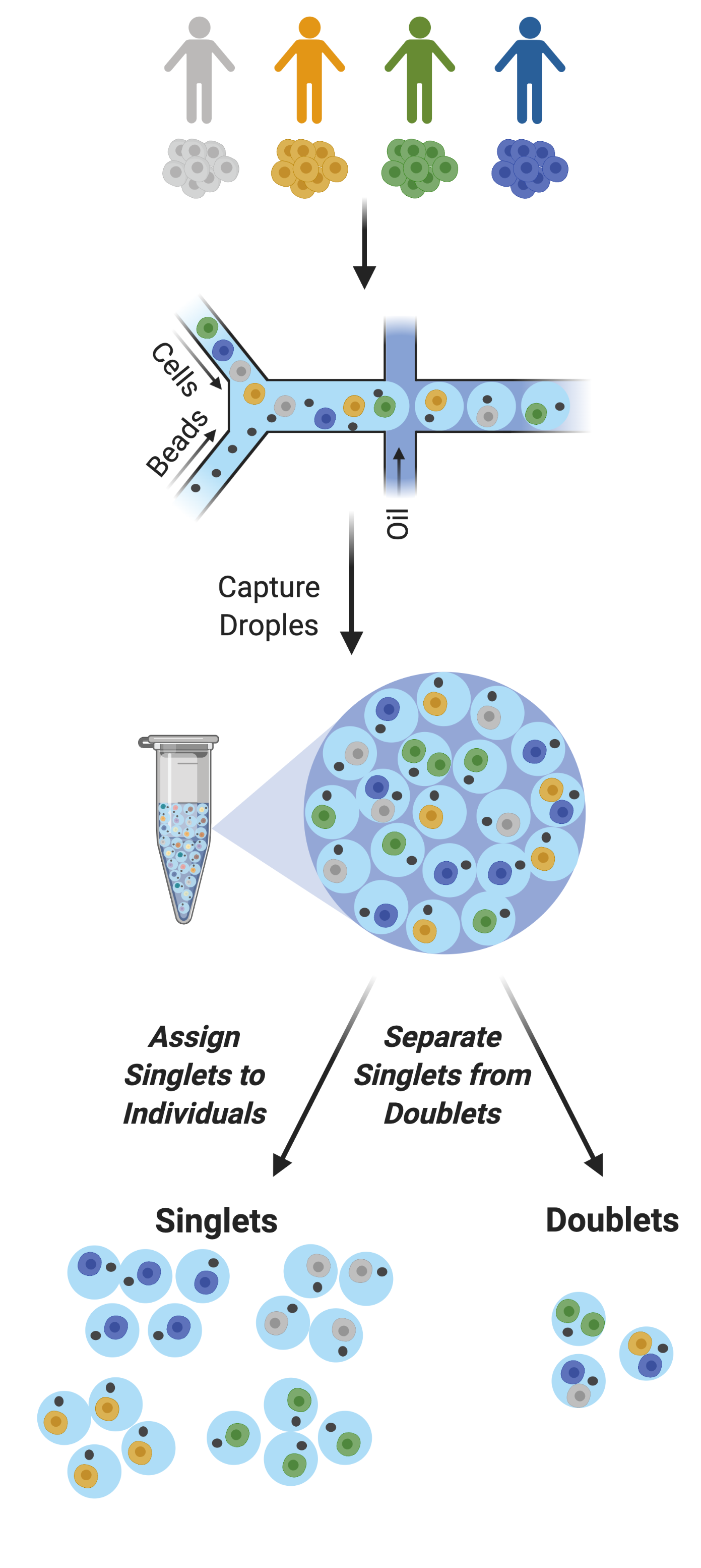 _images/multiplexing_figure.png